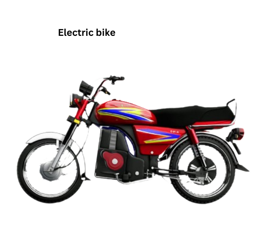 Electric bike shocks